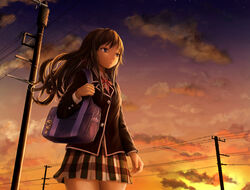  animal bird blue_eyes brown_hair clouds long_hair papi_(papiron100) seifuku skirt sky stars sunset yahari_ore_no_seishun_love_come_wa_machigatteiru. yukinoshita_yukino 