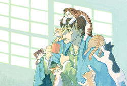  1boy :&lt; animal animal_on_head animal_on_shoulder azuma_kiyohiko blanket brown_eyes brown_hair cat_on_head cat_on_shoulder closed_mouth collarbone colored_sclera cup end_card feline from_side holding holding_cup long_sleeves looking_to_the_side looking_up mug non-web_source on_head pajamas sangatsu_no_lion shimada_kai_(sangatsu_no_lion) short_hair sitting too_many too_many_cats triangle_mouth yellow_sclera |_| 