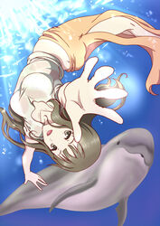  brown_eyes brown_hair commentary_request dolphin female freediving hanasaku_iroha highres long_hair open_mouth oshimizu_nako outstretched_arms reimaco smile solo spread_arms swimming underwater upside-down water 