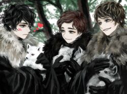  3boys a_song_of_ice_and_fire animification bad_id bad_pixiv_id black_eyes black_gloves black_hair blue_eyes blush brown_hair canine cape fur_trim ghost_(a_song_of_ice_and_fire) gloves grey_wind heart jon_snow lady_(a_song_of_ice_and_fire) male_focus multiple_boys nymeria_(a_song_of_ice_and_fire) puppy red_hair robb_stark shaggydog_(a_song_of_ice_and_fire) siuuu theon_greyjoy wolf 