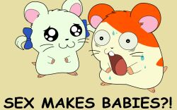  16:10 :3 bijou bodily_fluids bow_tie cricetid duo english_text female feral fuzzy hamster hamtaro hamtaro_(series) hi_res humor image_macro male mammal meme rodent shocked simple_background surprise sweat text the_more_you_know unknown_artist widescreen 