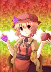  aki_minoriko apple bad_id bad_pixiv_id blonde_hair choker dress female food fruit grapes hat hori_daikon leaf red_eyes short_hair solo touhou 