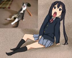  bad_id bad_pixiv_id black_hair commentary_request feline female k-on! long_hair nakano_azusa open_mouth photo_inset reference_inset round_teeth sakuragaoka_high_school_uniform school_uniform skirt socks teeth watanore 