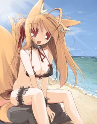  ahoge animal_ears bad_id bad_pixiv_id beach bikini bow breasts bridal_garter brown_hair day endou_chihiro female fox_ears fox_tail frills highres kuu_(endou_chihiro) long_hair oerba_yun_fang original red_eyes rock sitting sitting_on_rock solo swimsuit tail twintails 