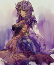  animal_ears bad_id bad_pixiv_id breasts cleavage cloth commentary_request eyepatch female fire_emblem fire_emblem:_radiant_dawn green_eyes highres jewelry large_breasts long_hair messy_hair nailah_(fire_emblem) necklace sitting solo tail tattoo tonton318831 wariza wolf_ears wolf_tail 