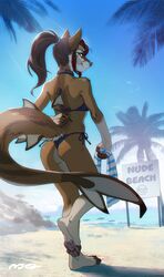  5_fingers ambient_bird ambient_flier ambient_silhouette anthro avian beach bikini bird blue_eyes brown_body brown_fur brown_hair canid canine canis claws clothing cloud collar detailed_background domestic_dog female fin fingers fish fur group gull hair hi_res holding_object hybrid lari larid looking_back mammal marine melloque nude_beach outside palm_leaves palm_tree pawpads plant ponytail sand sea seaside shark sign silhouette sky smile solo_focus standing swimwear text towel tree umbrella undressing water white_body white_fur 