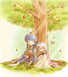  1boy animal animal_on_head apple bird bird_on_head blue_hair book brother_and_sister cape circlet dress female fire_emblem fire_emblem:_genealogy_of_the_holy_war food fruit gloves half-siblings headband julia_(fire_emblem) leaf light_purple_hair long_hair on_head red-50869 seliph_(fire_emblem) siblings sleeping sleeping_upright sparrow tree under_tree 