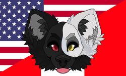  5:3 american_flag anonymous_artist anthro azki_(azki_wolf) black_body black_fur canid canine canis flag fur heterochromia male mammal peru peruvian_flag solo teeth tongue tongue_out united_states_of_america white_body white_fur wolf 