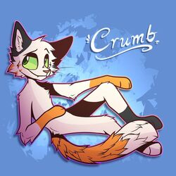  1:1 ambiguous_gender anthro arctica_the_fox black_body black_fur blue_background calico_cat colored crumb_(cuptoast) domestic_cat felid feline felis fur gloves_(marking) green_eyes leg_markings long_tail looking_at_viewer mammal markings mottled nonbinary_(lore) orange_body orange_fur piebald simple_background smile socks_(marking) solo tail whiskers white_body white_fur youtuber 