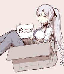  ak-12_(girls&#039;_frontline) box braid breasts cardboard_box closed_eyes closed_mouth commentary_request female for_adoption girls&#039;_frontline grey_hair highres holding holding_sign hourai_kochou in_box in_container large_breasts long_hair long_sleeves pants ponytail sign simple_background smile solo translated 