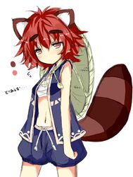  hat kemonomimi midriff red_eyes red_hair sarashi shingetsu_takehito short_hair solo tail tanaka_pon tanukimimi wafuku 