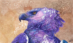  2013 absurd_res accipitrid accipitriform ambiguous_form ambiguous_gender avian beak bird black_beak eagle feathered_wings feathers harpy_eagle hi_res looking_at_viewer looking_back novawuff portrait purple_body purple_feathers simple_background solo textured_background wings yellow_eyes 