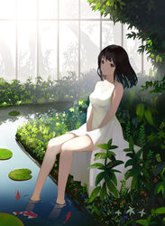  .l.l absurdres animal bare_arms bare_shoulders barefoot between_legs black_hair blush breasts brown_eyes chinese_commentary closed_mouth commentary dress eyebrows_hidden_by_hair female fish full_body hand_between_legs highres indoors koi legs lily_pad long_hair looking_at_viewer medium_breasts original plant sitting sleeveless sleeveless_dress soaking_feet solo water white_dress 