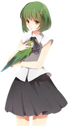  april_fools bad_blogspot_id bad_id bad_link bird brown_eyes female green_hair macaw missing_stars parrot renee_baum simple_background skirt solo white_background yune_(artist) 