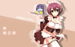  g_senjou_no_maou garter maid miwa_tsubaki penguin thighhighs tomose_shunsaku wallpaper 