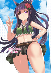  absurdres animal_ears bikini bikini_skirt black_necktie blue_sky blunt_bangs bracelet character_name cloud dog_ears dog_girl extra_ears female flower from_below george_christian green_bikini hair_flower hair_ornament hibiscus highres jewelry kasumi_(princess_connect!) kasumi_(summer)_(princess_connect!) long_hair looking_down microskirt navel necktie ponytail princess_connect! purple_eyes purple_hair short_necktie sidelocks skirt sky smirk swimsuit white_bracelet 