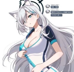  animal_ear_fluff animal_ears blue_archive blue_eyes breasts cross_hair_ornament female goyain grey_hair hair_ornament halo highres large_breasts long_hair shiroko_(blue_archive) shiroko_terror_(blue_archive) solo 