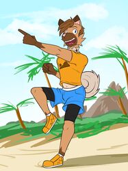  2018 anthro anthrofied beach bottomwear clothed clothing footwear fully_clothed fuze generation_7_pokemon gesture hand_gesture hi_res male navel nintendo outside palm_tree plant pointing pokemon pokemon_(species) pokemorph ricky_(fuze) rockruff seaside shirt shoes shorts socks solo t-shirt topwear tree 