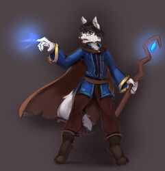  2020 anthro black_hair boots canid canine canis cape casting_spell clothing digitigrade doggylaw domestic_dog eyewear footwear fur glasses hair holding_object holding_staff magic male mammal simple_background solo staff standing temils white_body white_fur 