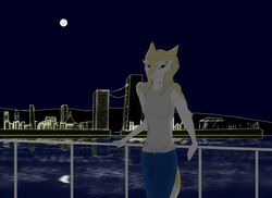  2017 4_fingers 5r200 absurd_res anthro anthrofied biped blonde_hair blue_background blue_clothing blue_eyes bottomwear city cityscape clothing countershading detailed_background digital_drawing_(artwork) digital_media_(artwork) dipstick_tail female fingers fur grey_clothing hair hi_res holding_fixture looking_at_viewer markings moon multicolored_tail outside pants railing seaside sergal shirt simple_background sky smile solo standing star starry_sky tail tail_markings topwear water white_body white_fur white_tail_tip yellow_body yellow_fur 