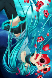  anemone_(flower) aqua_eyes aqua_hair aqua_nails bad_id bad_pixiv_id detached_sleeves female flower hatsune_miku highres long_hair nail_polish pochiharu solo thighhighs twintails underwater upside-down vocaloid 