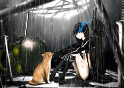  absurdres bad_id bad_pixiv_id bikini bikini_top_only black_hair black_rock_shooter black_rock_shooter_(character) black_shorts blue_eyes boots bruise coat cuts feline female flaming_eye highres injury long_hair no_shirt pale_skin rain shorts sitting skull solo swimsuit sword takashiro_(takashiro_factory) twintails weapon 