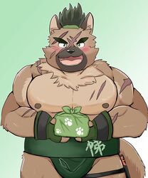  2020 5:6 anthro barazoku blush brown_nipples canid canine canis clothing domestic_dog fingerless_gloves gloves green_eyes handwear hi_res holding_object humanoid_hands kemono lifewonders male mammal mohumohudansi nipples scar simple_background slightly_chubby solo sumo tokyo_afterschool_summoners yasuyori_(tas) 