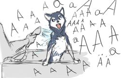  aaaaaaaaaaa ambiguous_gender assisted_bathing bathing bathtub black_eyes canid canine canis domestic_dog duo eyebrows feral fur grey_body grey_fur hi_res holding_hose holding_object human humor husky looking_aside looking_at_another mammal meme multicolored_body multicolored_fur nordic_sled_dog open_mouth overreaction screaming simple_background spitz teeth text tinygaypirate tongue two_tone_body two_tone_fur water wet white_background white_body white_eyebrows white_fur 