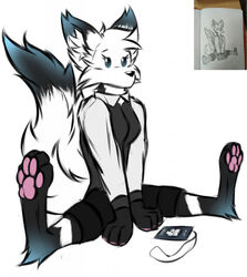  anthro black_body black_clothing black_ear_tips black_fur black_nose black_tail_tip black_topwear black_vest blue_ear_tips blue_eyes blue_tail_tip bottomwear canid canine canis clothing digital_media_(artwork) digitigrade dipstick_ears dipstick_tail dot_eyes ear_markings female fironmaplez_(artist) fox fox_tail fur hi_res hybrid identification inner_ear_fluff long_sleeve_shirt mammal markings multicolored_body multicolored_ears multicolored_fur multicolored_tail pawpads pink_pawpads rachel_firestorm_(fironmaplez) shorts simple_background sitting sitting_on_ground solo spread_legs spreading tail tail_markings topwear traditional_media_(artwork) tuft vest white_body white_clothing white_fur wolf 