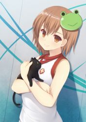  animal animal_hug bare_arms bare_shoulders black_cat blush brown_eyes brown_hair closed_mouth commentary emblem feline female frog frog_mask gekota green_mask gym_shirt gym_uniform hair_between_eyes highres holding holding_animal holding_cat mask mask_on_head medium_hair misaka_imouto misaka_imouto_10032 misaka_imouto_10032&#039;s_cat rennkuu school_emblem shirt sleeveless sleeveless_shirt smile solo toaru_kagaku_no_railgun toaru_kagaku_no_railgun_t toaru_majutsu_no_index tokiwadai_school_gym_uniform unworn_mask upper_body white_shirt 