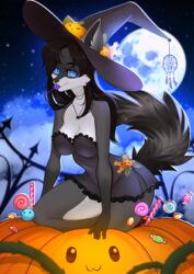  anthro black_hair black_nose blue_eyes candy clothing dessert digital_media_(artwork) female food fruit hair hat headgear headwear hi_res jewelry lingerie mammal moon night nitricacid plant procyonid pumpkin raccoon sila_dione solo witch_hat 