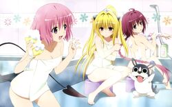  3girls blonde_hair blue_eyes braid breasts canine cleavage demon_tail hair_ornament highres indoors konjiki_no_yami kurosaki_mea long_hair medium_breasts momo_velia_deviluke multiple_girls naked_towel official_art open_mouth pink_hair purple_eyes purple_hair short_hair sideboob sitting small_breasts tail taketani_kyouko to_love-ru towel very_long_hair 