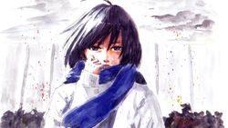  adjusting_scarf alternate_color artist_name black_hair blue_scarf closed_mouth female frown highres long_sleeves looking_at_viewer mikasa_ackerman official_art oshimi_shuuzou sad scarf shingeki_no_kyojin short_hair sleeves_past_wrists solo sweater upper_body wall white_background white_sweater 