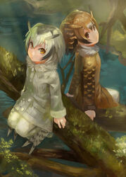  2girls :/ :| arms_at_sides backlighting black_hair blonde_hair brown_coat brown_eyes brown_hair buttons closed_mouth coat commentary_request eurasian_eagle_owl_(kemono_friends) expressionless from_above from_behind fur_collar gradient_hair grey_coat grey_hair hair_between_eyes head_wings highres in_tree kemono_friends long_sleeves looking_at_viewer looking_back looking_up mizore_akihiro multicolored_hair multiple_girls nature northern_white-faced_owl_(kemono_friends) outdoors pantyhose pocket river short_hair sitting sitting_in_tree sleeve_cuffs tail tree tsurime water white_hair white_legwear wings yellow_eyes 