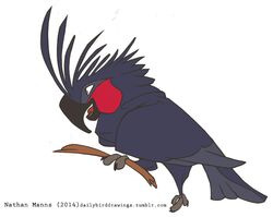  2014 3_talons 3_toes ambiguous_gender avian beak biped bird black_beak black_eyes black_talons blue_body blue_crest blue_feathers blue_tail blue_wings cockatoo dark_beak dark_body dark_feathers dark_talons dark_wings digital_drawing_(artwork) digital_media_(artwork) facial_markings feathered_crest feathered_wings feathers feet feral feral_holding_object flat_colors folded_wings full-length_portrait grey_body grey_feathers grey_feet grey_tail grey_tail_feathers grey_wings head_crest head_markings holding_object hooked_beak jamminbison markings monotone_beak monotone_crest multicolored_body multicolored_feathers multicolored_tail multicolored_wings on_one_leg open_beak open_mouth open_smile palm_cockatoo parrot portrait prehensile_feet raised_leg red_body red_markings red_skin red_tongue side_view simple_background smile solo standing stick tail tail_feathers tall_crest talons text toe_talons toes tongue toony two_tone_body two_tone_feathers two_tone_tail two_tone_wings url white_background winged_arms wings 