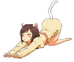  :&lt; all_fours animal_ears bare_legs barefoot brown_hair cat_ears cat_girl cat_stretch cat_tail closed_eyes closed_mouth commentary_request dress female forehead full_body idolmaster idolmaster_cinderella_girls ito_(itokayu) light_blush long_sleeves maekawa_miku parted_bangs partial_commentary ribbed_sweater short_hair simple_background solo stretching sweater sweater_dress tail white_background 