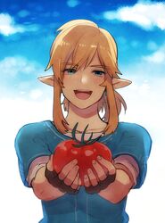  1boy apple blonde_hair blue_eyes blue_shirt champion&#039;s_tunic_(zelda) collarbone commentary_request day earrings fingerless_gloves food fruit gloves holding holding_food holding_fruit jewelry link looking_at_viewer male_focus medium_hair open_mouth outdoors pointy_ears red_apple shirt short_sleeves sky smile solo teeth the_legend_of_zelda the_legend_of_zelda:_breath_of_the_wild upper_body upper_teeth_only white_shirt yuma_(zero) 