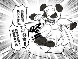  4:3 amy吹骨波特 angry anthro bear beastars black_and_white black_body black_fur black_nose bottomwear canid canine canis clothed clothing feet_wear fluffy fur giant_panda gouhin_(beastars) legoshi_(beastars) male mammal monochrome pants scar simple_background smoking solo text white_body white_fur wolf young young_anthro 