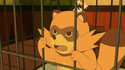  1boy cage shimogamo_yasaburou tanuki uchouten_kazoku 