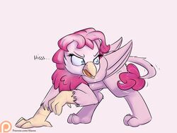  2016 4:3 alasou alternate_species avian beak feathered_wings feathers female feral friendship_is_magic gryphon gryphonification hasbro my_little_pony mythological_avian mythological_creature mythology pinkie_pie_(mlp) solo tail wings 