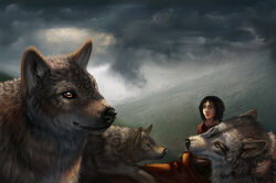  black_hair black_nose brown_body brown_fur canid canine canis clothing cloud conditional_dnp female feral fur goodwolf group hair human landscape latex_(artist) looking_at_viewer mammal mountain orange_eyes outside raining storm_clouds wolf 