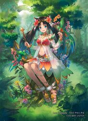  animal_ears bare_shoulders bird black_hair blue_eyes cat_ears eihi female female flower last_chronicle long_hair looking_at_viewer midriff multicolor_hair multicolored_hair navel open_mouth sitting smile solo twintails 