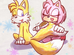  amy_rose brush brushing brushing_fur brushing_tail duo female fur male male/female onechan personal_grooming sega social_grooming sonic_the_hedgehog_(series) tails 