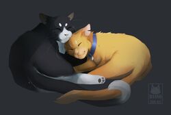  2016 ambiguous_gender black_body black_fur closed_eyes collar cuddling dannoitanart domestic_cat domestic_pet duo felid feline felis feral fur grey_background jake_(warriors) male_(lore) mammal orange_body orange_fur pawpads paws shaded simple_background sleeping smile tail tallstar_(warriors) warriors_(book_series) watermark whiskers white_body white_fur 