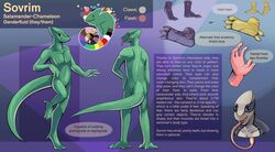  2017 5_fingers 5_toes absurd_res ambiguous_gender amphibian anthro biped blep chameleon color_swatch english_text featureless_crotch feet fingers hi_res hybrid klippy lizard long_tongue model_sheet multicolored_body multicolored_skin nonbinary_(lore) nude pink_tongue reptile salamander scalie shaded shimmering_spectrum simple_shading solo sovrim_terraquian standing text toes tongue tongue_out 