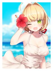  ahoge bad_id bad_pixiv_id blonde_hair border breasts cloud commentary_request day dress fate/extra fate_(series) female flower green_eyes hair_flower hair_intakes hair_ornament hair_ribbon hibiscus highres large_breasts munuko nero_claudius_(fate) nero_claudius_(fate/extra) ocean one_eye_closed open_mouth red_flower red_ribbon ribbon solo white_border white_dress 