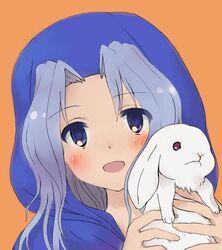  animal bad_id bad_twitter_id blue_eyes blue_hair blush female holding holding_animal hood hoodie kumoi_ichirin open_mouth orange_background oshouyu_tabetai portrait rabbit simple_background solo touhou 