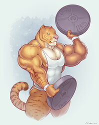  2013 anthro areola big_muscles blue_eyes clothing exercise felid huge_muscles hybrid hyper hyper_muscles jockstrap liger lion male mammal muscular muscular_anthro muscular_male nipples pantherine purrcules_(artist) purrcules_(character) shirt simple_background solo tank_top thick_thighs tiger topwear underwear weightlifting weights workout 