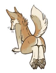  2017 abigfathen ambiguous_gender anthro ass border brown_body brown_fur canid canine canis claws coyote fur looking_at_viewer looking_back mammal multicolored_body multicolored_fur nude pawpads raised_tail rear_view simple_background smile solo tail toe_claws two_tone_body two_tone_fur whiskers white_background white_border 