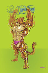  2012 abs anthro areola benji_(mainlion) big_muscles bulge clothed clothing clouded_leopard countershading ear_piercing exercise felid green_eyes huge_muscles hyper hyper_muscles jockstrap male mammal muscular muscular_anthro muscular_male nipples pantherine partially_clothed piercing purrcules_(artist) smile solo underwear weightlifting weights workout 